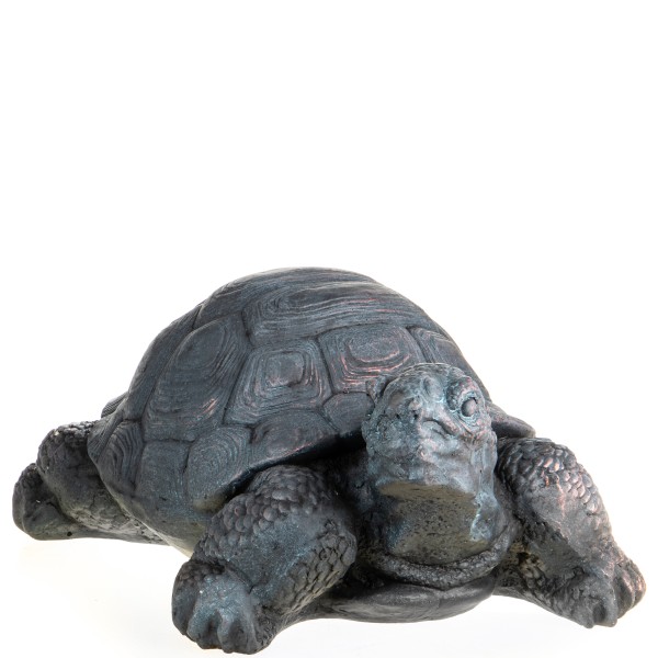 Schildkröte aus MGO MGO214