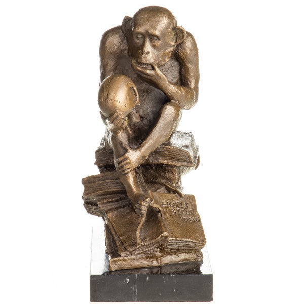 Bronzefigur Affe mit Schädel und Messschieber auf Büchern "Darwin's Affe" YB1026