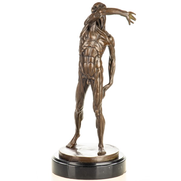 Bronzefigur Anatomie eines Mannes nach P. Franqueville YB1028