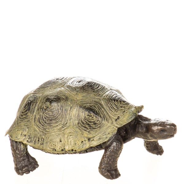 Farbige Bronzefigur Wiener Art Schildkröte BT962